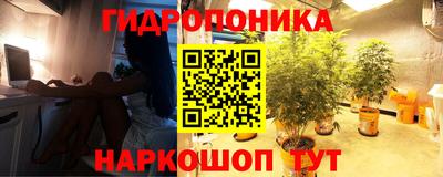 гашик Гагарин