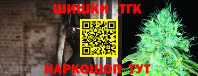 гашик Гагарин