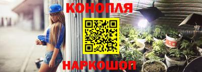 гашик Гагарин