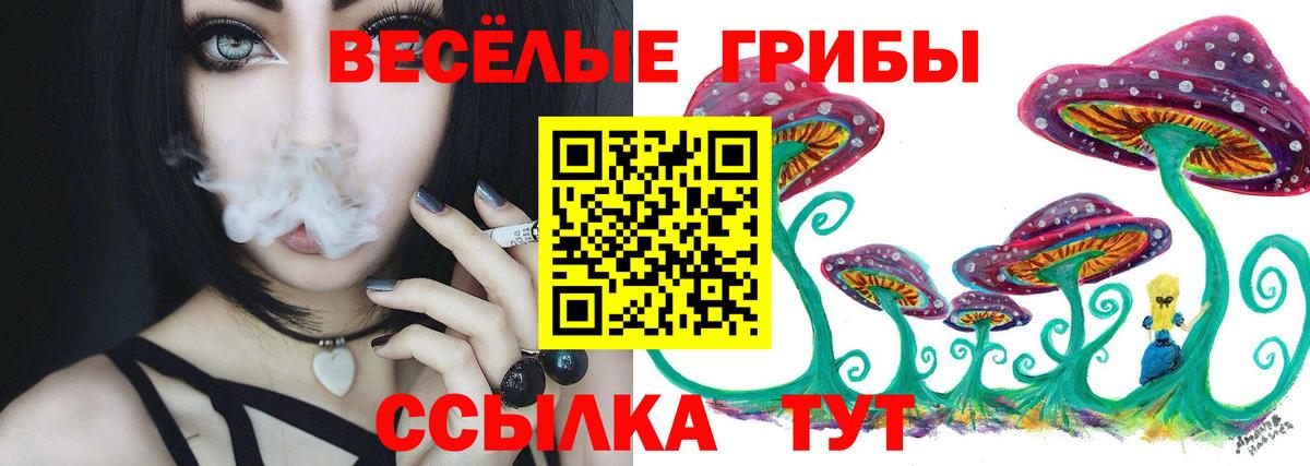 Сергиев Посад  Псилоцибиновые грибы мицелий  Вход с VPN 